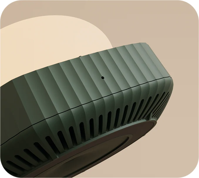 Close-up of the ribbed evergreen base